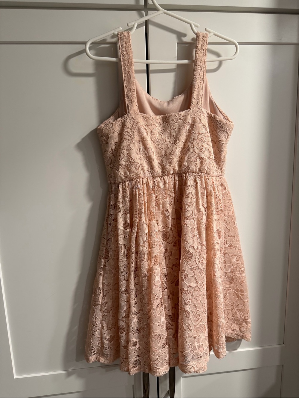 Zhenzi Blush Lace Sleeveless Party Dress